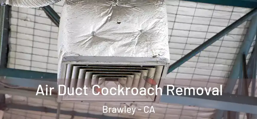  Air Duct Cockroach Removal Brawley - CA