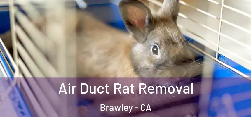  Air Duct Rat Removal Brawley - CA