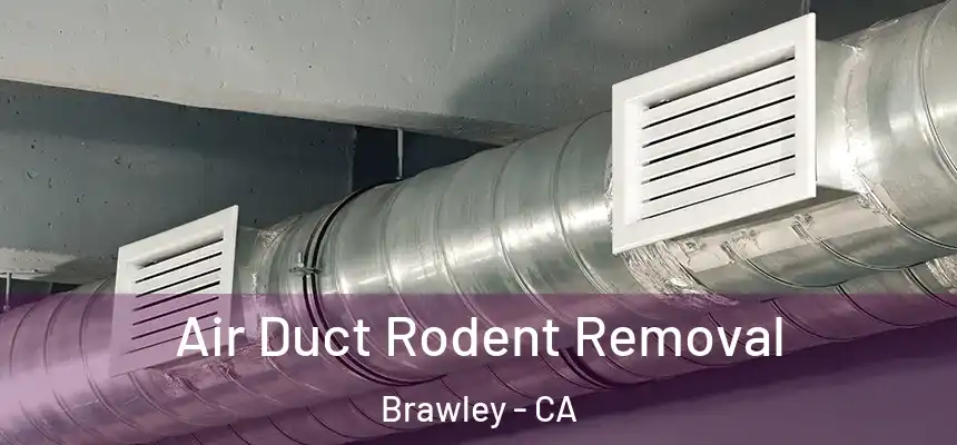  Air Duct Rodent Removal Brawley - CA