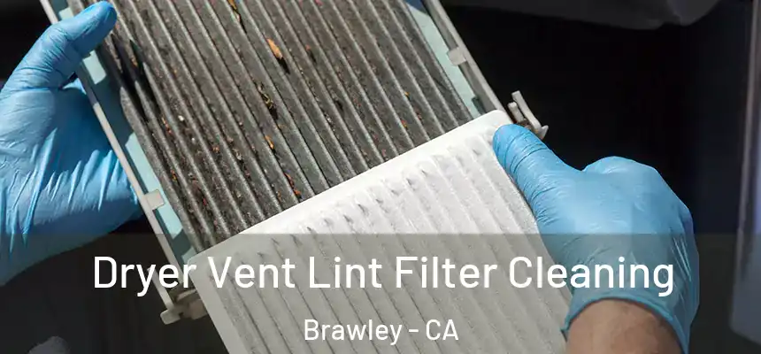  Dryer Vent Lint Filter Cleaning Brawley - CA