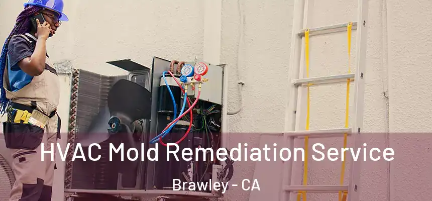  HVAC Mold Remediation Service Brawley - CA