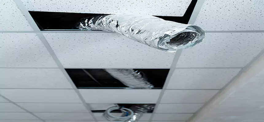 Affordable HVAC Sanitizing After Pest Removal in Brawley