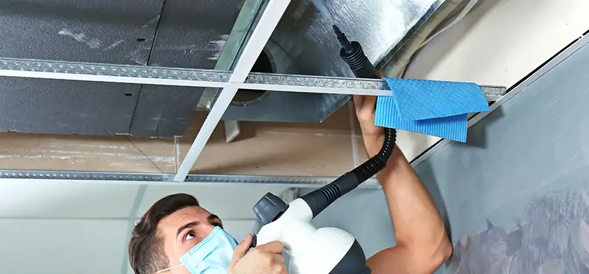 Our Air Duct Rodent Removal Services in Brawley, CA