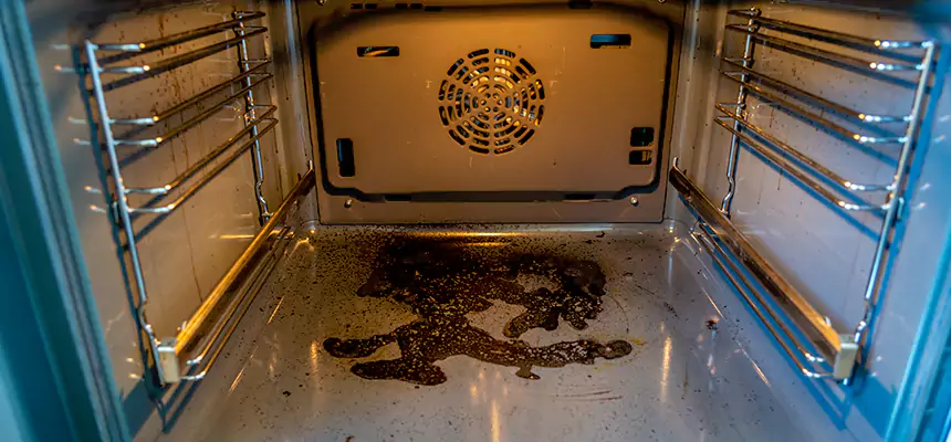 Our Dryer Vent Mold Cleaning Services in Brawley, CA