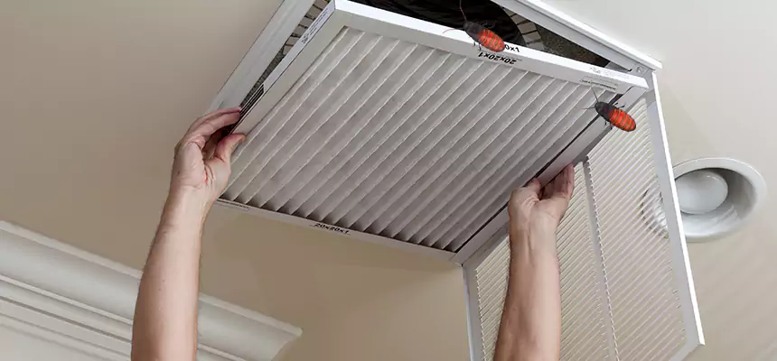 Our Insect Removal from Air Ducts Services in Brawley, CA