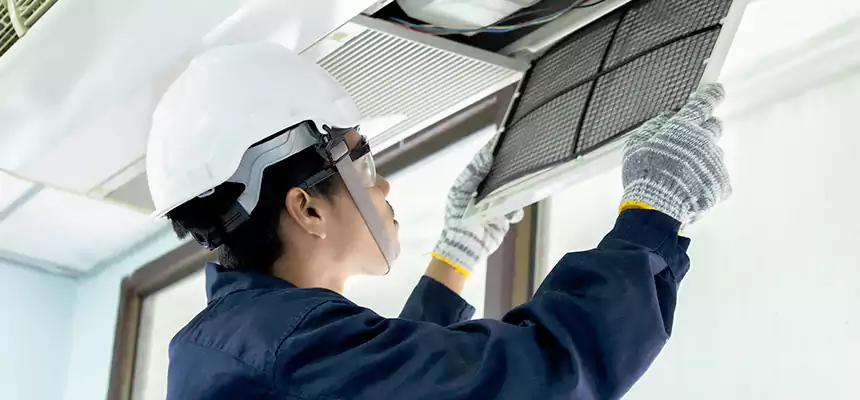 Our Mold & Mildew Removal from Air Ducts Services in Brawley, CA