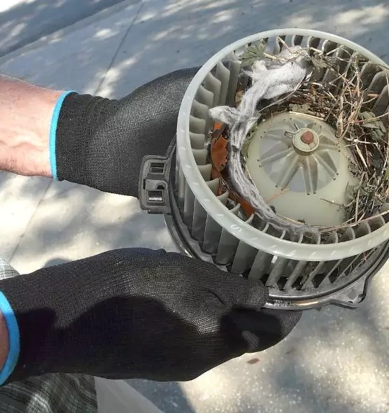 About Air Duct Mice Removal in Brawley, CA